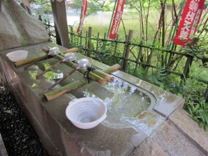 IMG_2756