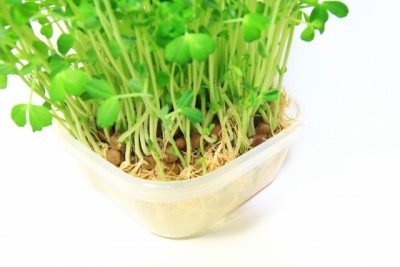 980d08bb4cff9eb86df37506a745bfb5_s